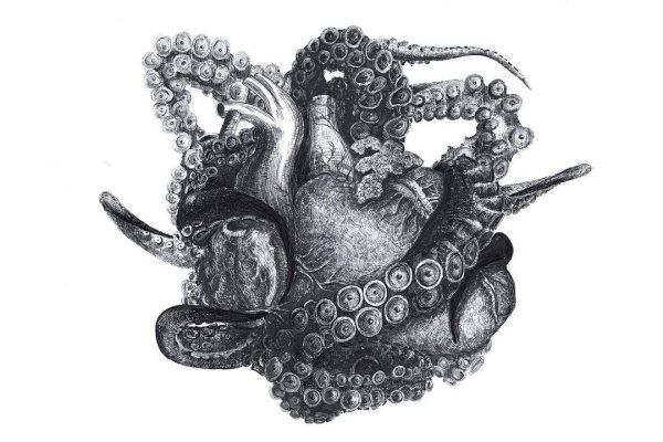 Кракен официальная ссылка kraken torion