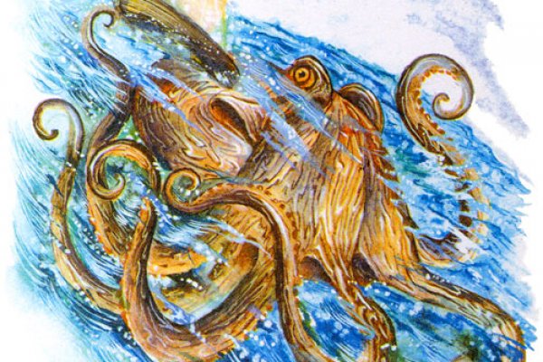 Kraken tor зеркало