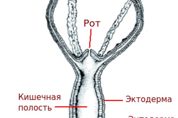 Кракен ссылка market pw