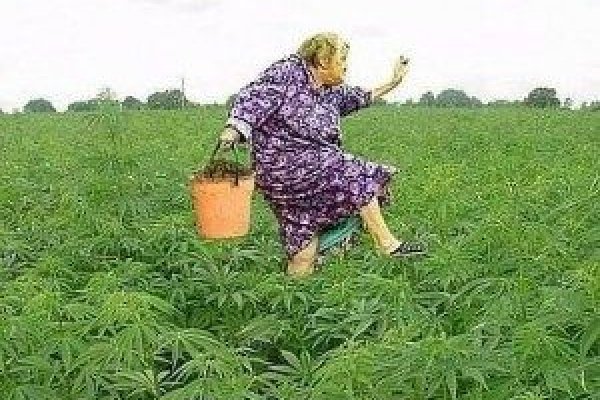 Kraken купить клад