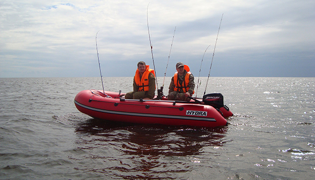 Kraken 21at