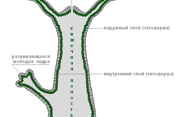 Kraken адрес