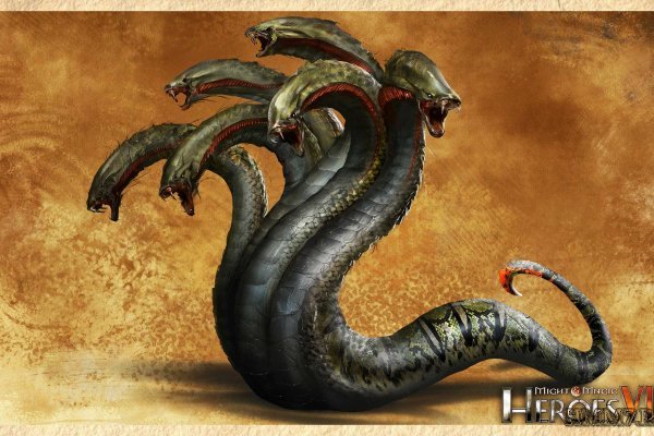 Kraken 12at
