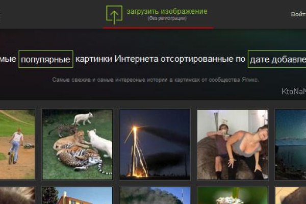 Кракен зеркало ссылка онлайн