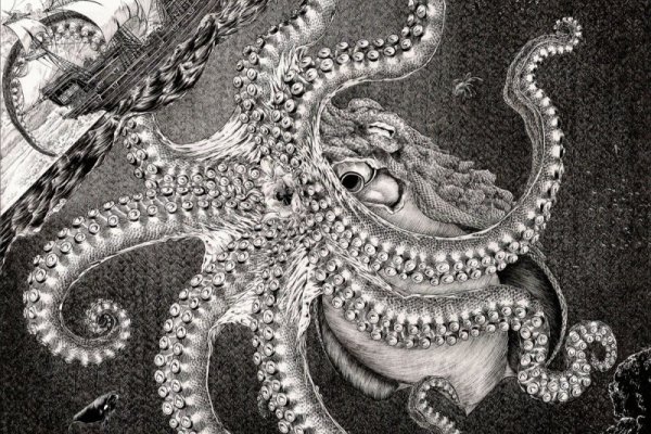 Kraken 22 аt