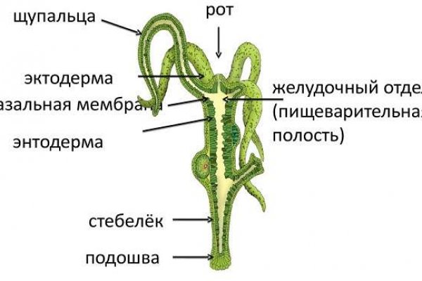 Кракен браузер ссылка