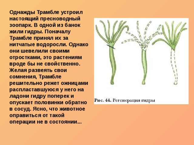 Кракен даркнет не работает
