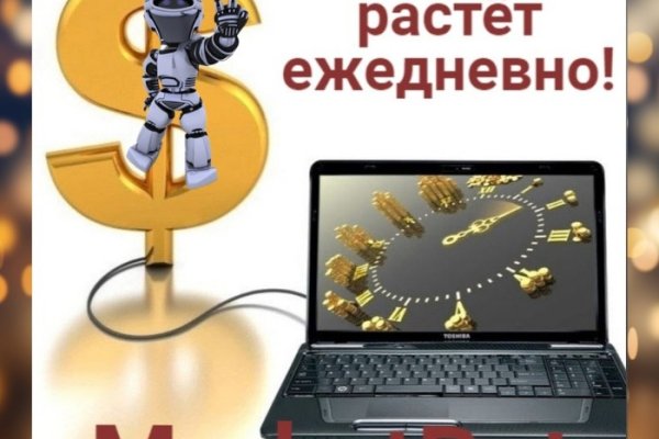 Какая ссылка у кракена