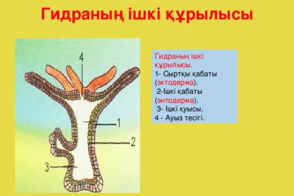 Kraken 2krn at